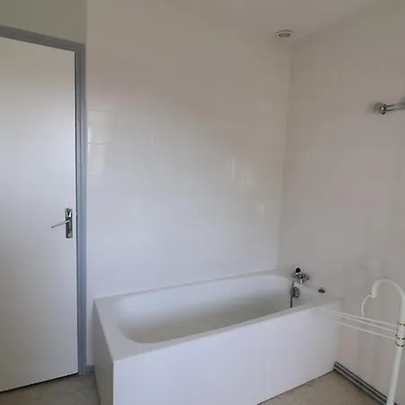 Proche De Saint-etienne Cantales, 3 Chambres, Activites Nautiques, Animaux Admis - Fr-1-742-268 *